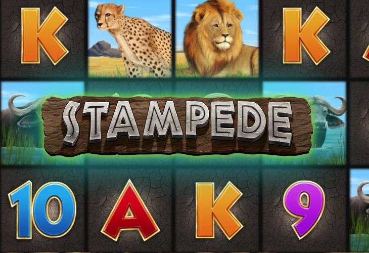 Clubhouse Casino: Stampede